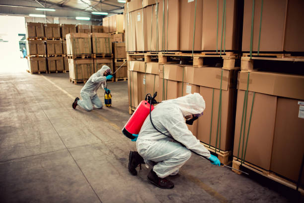 Best Pest Inspection Near Me  in Delft Colony, CA