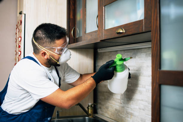  Delft Colony, CA Pest Control Pros