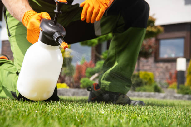 Best Insect Control  in Delft Colony, CA