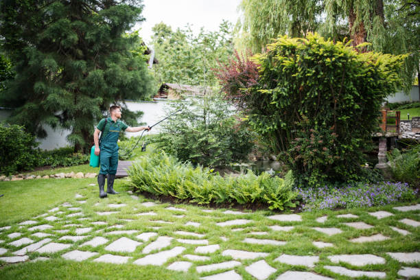 Best Residential Pest Control  in Delft Colony, CA