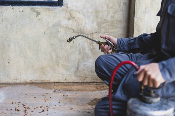 Best Wasp Removal Services  in Delft Colony, CA