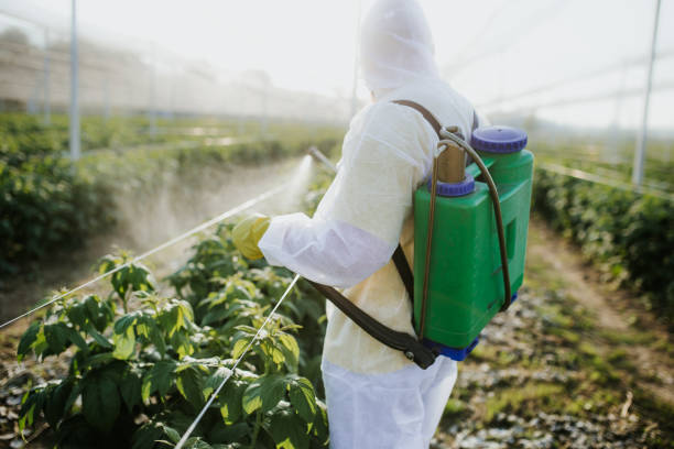 Best Commercial Pest Control Services  in Delft Colony, CA